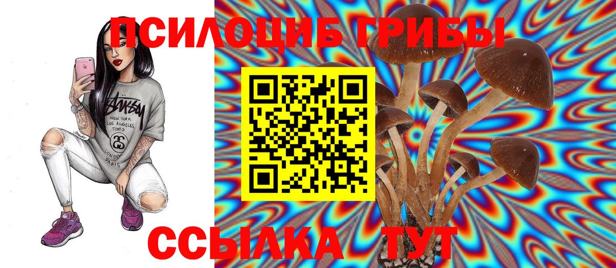 Галлюциногенные грибы MAGIC MUSHROOMS  Галлюциногенные грибы Psilocybe  Георгиевск  Вход с VPN 
