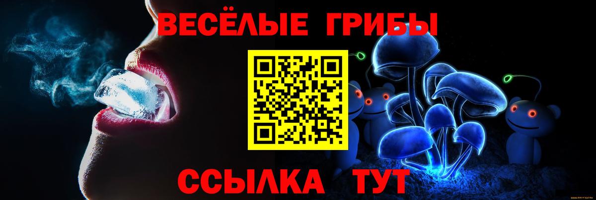 Галлюциногенные грибы мухоморы Георгиевск
